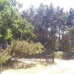 Apartman Urlaub Bei Hauenstein Born