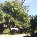 Urlaub Bei Hauenstein Apartman