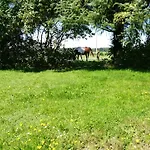 Urlaub Bei Hauenstein Born