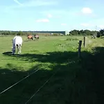 Urlaub Bei Hauenstein Apartman *