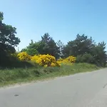 Urlaub Bei Hauenstein Apartment *