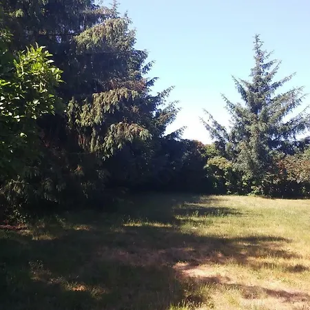 Appartamento Urlaub Bei Hauenstein