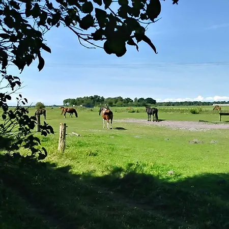 Appartamento Urlaub Bei Hauenstein Born