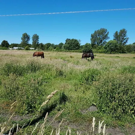 公寓 Urlaub Bei Hauenstein