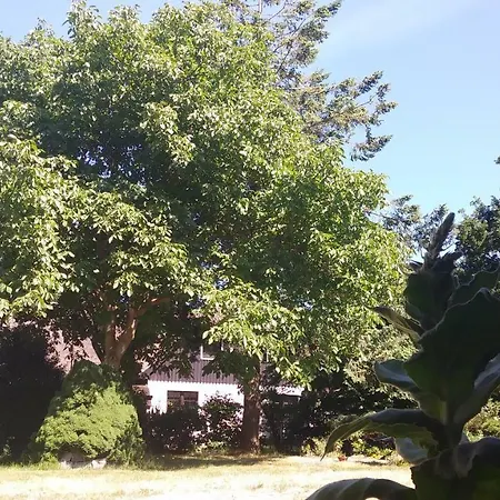 Urlaub Bei Hauenstein 公寓