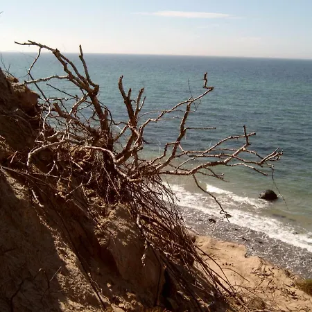 公寓 Urlaub Bei Hauenstein 博恩