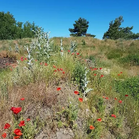 Urlaub Bei Hauenstein