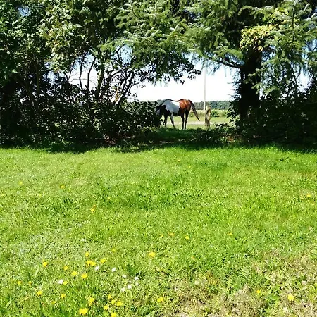 Urlaub Bei Hauenstein Born