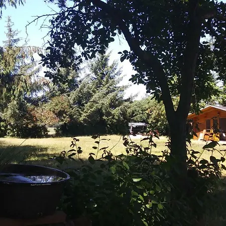 公寓 Urlaub Bei Hauenstein *