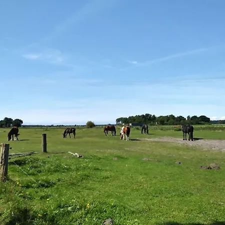Urlaub Bei Hauenstein Appartamento Born