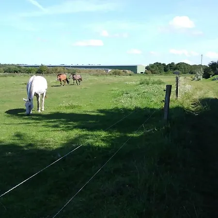 Urlaub Bei Hauenstein 公寓 *