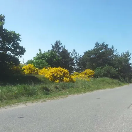 Urlaub Bei Hauenstein 公寓 *